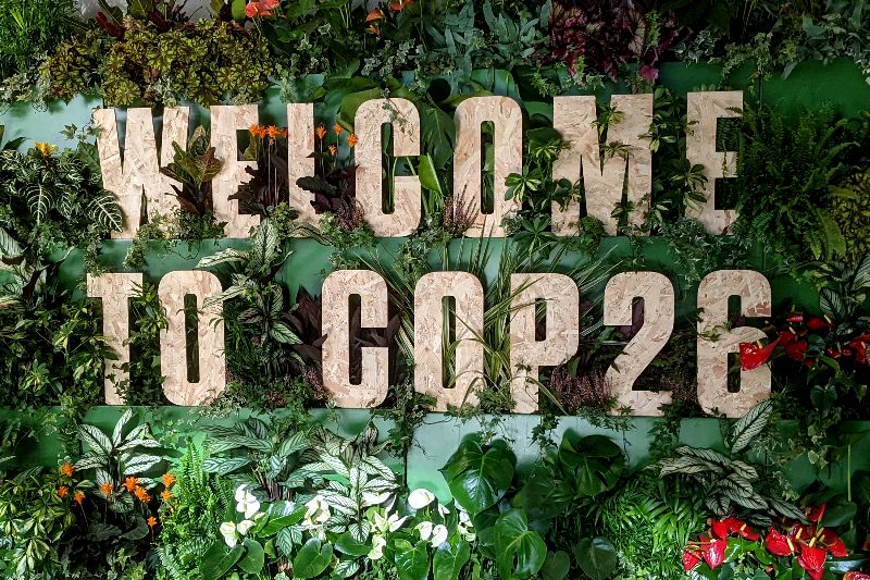 COP26: Големи обещания, ниски амбиции